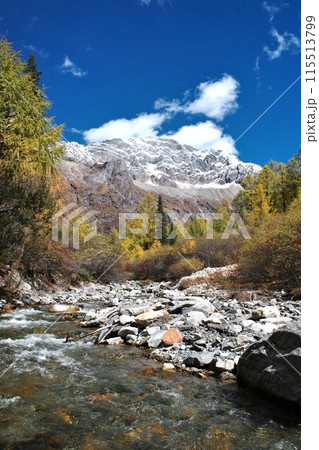 The Autumn in Siguniang Mountain at west of the capital city of Chengdu in Xiaojin country ,Sichuan ,China  115513799