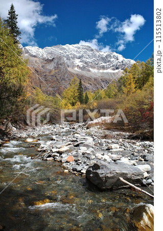 The Autumn in Siguniang Mountain at west of the capital city of Chengdu in Xiaojin country ,Sichuan ,China  115513802