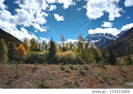 The Autumn in Siguniang Mountain at west of the capital city of Chengdu in Xiaojin country ,Sichuan ,China The Autumn in Siguniang Mountain at west of the capital city of Chengdu in Xiaojin country ,Sichuan ,China 115513809