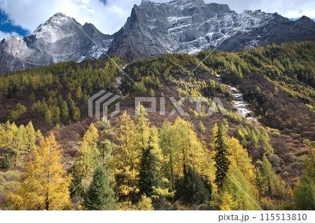 The Autumn in Siguniang Mountain at west of the capital city of Chengdu in Xiaojin country ,Sichuan ,China The Autumn in Siguniang Mountain at west of the capital city of Chengdu in Xiaojin country ,Sichuan ,China 115513810