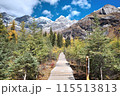 The Autumn in Siguniang Mountain at west of the capital city of Chengdu in Xiaojin country ,Sichuan ,China  115513813
