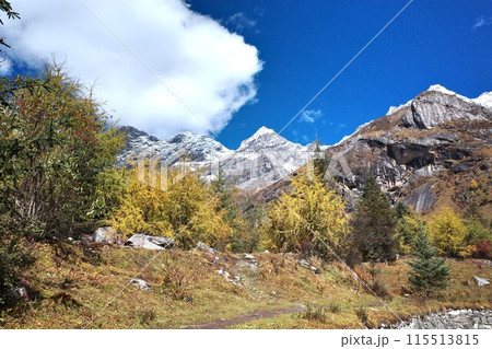 The Autumn in Siguniang Mountain at west of the capital city of Chengdu in Xiaojin country ,Sichuan ,China  115513815