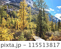 The Autumn in Siguniang Mountain at west of the capital city of Chengdu in Xiaojin country ,Sichuan ,China  115513817