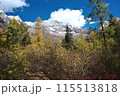 The Autumn in Siguniang Mountain at west of the capital city of Chengdu in Xiaojin country ,Sichuan ,China  115513818
