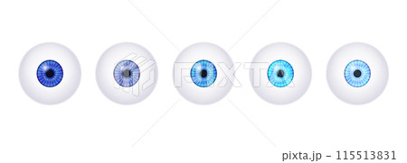 Iris medical poster 115513831