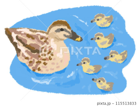 カルガモの母が子供達をしっかり見守っているイラスト 115513833
