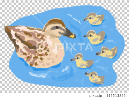 カルガモの母が子供達をしっかり見守っているイラスト 115513833