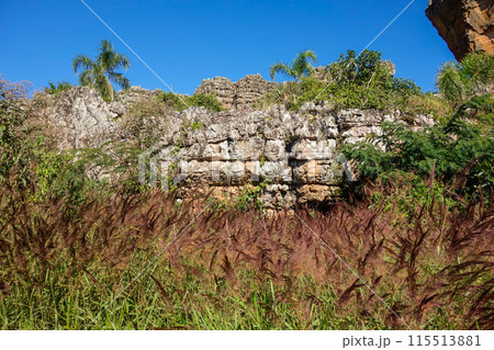 sandstone geological monuments, or Arenitos, in Vila Velha State Park. Ponta Grossa, Parana, Brazil 115513881