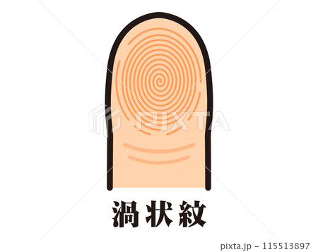 シンプルな渦状紋の指紋のベクターイラスト素材 シンプルな渦状紋の指紋のベクターイラスト素材 115513897