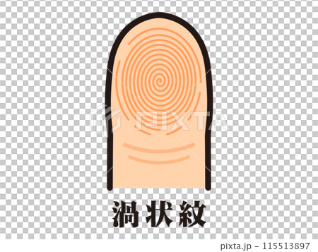 シンプルな渦状紋の指紋のベクターイラスト素材 シンプルな渦状紋の指紋のベクターイラスト素材 115513897