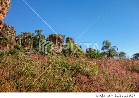 sandstone geological monuments, or Arenitos, in Vila Velha State Park. Ponta Grossa, Parana, Brazil 115513917