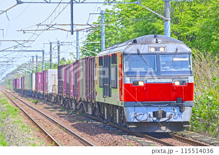 室蘭本線　虎杖浜　JR貨物　DF200-103（五稜郭） 115514036