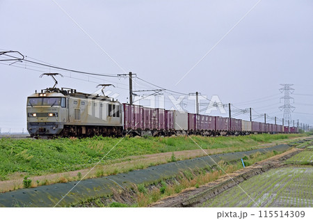 羽越本線 中浦ー月岡 JR貨物 EF510-509(富山) 羽越本線 中浦ー月岡 JR貨物 EF510-509(富山) 115514309