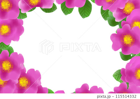 浜梨（ハマナシ）の花のカード3 115514332