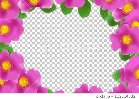 浜梨（ハマナシ）の花のカード3 115514332