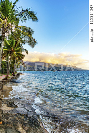Sidewalk in front of the sea in Ilhabela Sidewalk in front of the sea in Ilhabela 115514347