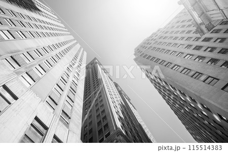 Looking up at New York City skyscrapers against the sun, USA. 115514383
