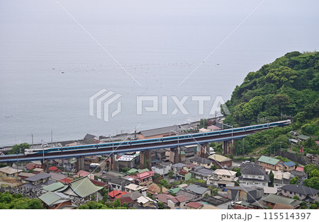 東海道本線　早川ー根府川　JR東日本　E257系2000番台（大宮）　踊り子 115514397
