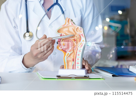 The doctor shows the problem areas of the mucous membranes . The doctor shows the problem areas of the mucous membranes . 115514475