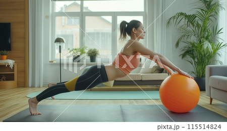 Young Woman Doing Plank Exercise With Ball 115514824