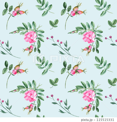 Dog rose Floral Watercolor seamless pattern on blue background. Hand drawn botanical illustration. Rose hip flowers, buds, branches and berries. Can be used for fabric, textile, packaging prints Dog rose Floral Watercolor seamless pattern on blue background. Hand drawn botanical illustration. Rose hip flowers, buds, branches and berries. Can be used for fabric, textile, packaging prints 115515331