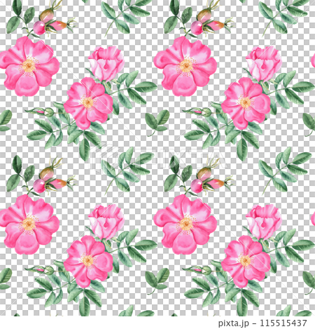 Dog rose Floral Watercolor seamless pattern. Hand drawn botanical illustration. Rose hip flowers, buds, branches and berries. Can be used for fabric, textile, packaging prints, wallpaper design. 115515437