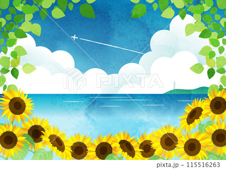夏、背景、イラスト、かわいい、ひまわり、海、横 115516263