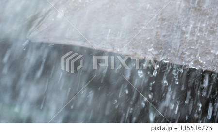 激しく降る雨のイメージ 激しく降る雨のイメージ 115516275