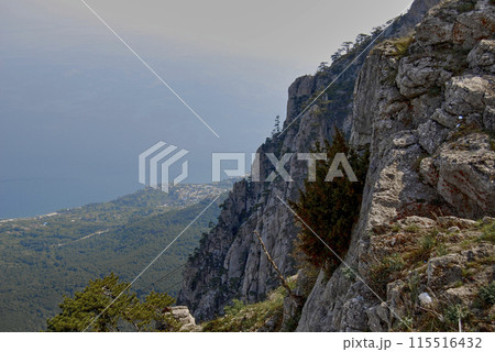 Mount Ai-petri.View from above. View from the mountain, below is a valley flowing into the Black Sea.Trees grow right on the cliff. 115516432
