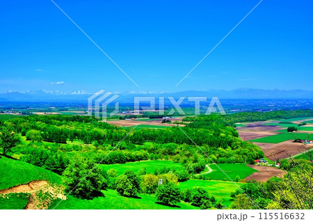 新嵐山スカイパーク展望台から望む十勝平野の絶景 115516632