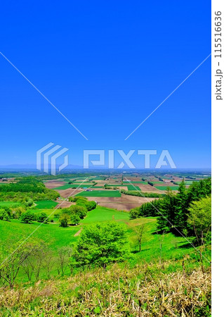 新嵐山スカイパーク展望台から望む十勝平野の絶景 新嵐山スカイパーク展望台から望む十勝平野の絶景 115516636