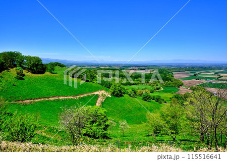 新嵐山スカイパーク展望台から望む十勝平野の絶景 新嵐山スカイパーク展望台から望む十勝平野の絶景 115516641