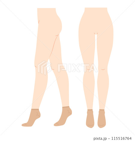 Sneaker Socks Set on women legs. Hosiery Fashion accessory clothing technical illustration stocking. Vector front, side  115516764