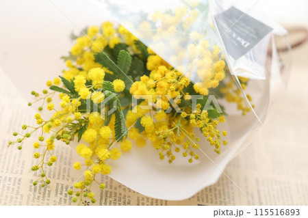 ミモザの花のプレゼント ミモザの花のプレゼント 115516893