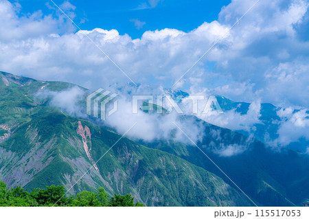【山岳素材】小遠見山から見る雲海と白馬三山【長野県】 【山岳素材】小遠見山から見る雲海と白馬三山【長野県】 115517053