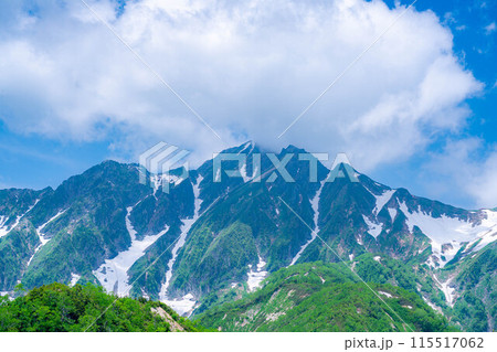 【山岳素材】小遠見山から見る雲海と白馬三山【長野県】 【山岳素材】小遠見山から見る雲海と白馬三山【長野県】 115517062