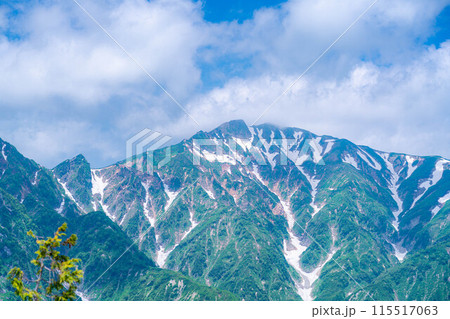 【山岳素材】小遠見山から見る雲海と白馬三山【長野県】 【山岳素材】小遠見山から見る雲海と白馬三山【長野県】 115517063