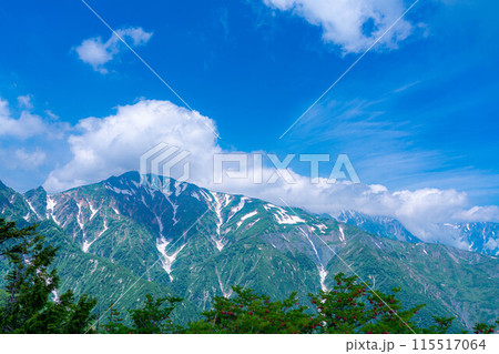 【山岳素材】小遠見山から見る雲海と白馬三山【長野県】 【山岳素材】小遠見山から見る雲海と白馬三山【長野県】 115517064