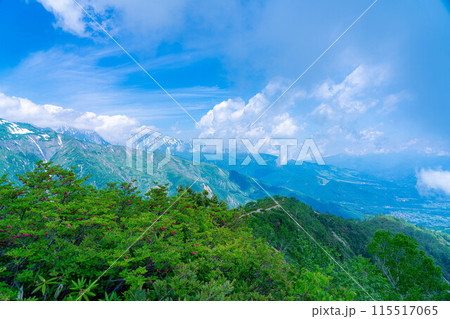 【山岳素材】小遠見山から見る雲海と白馬三山【長野県】 115517065