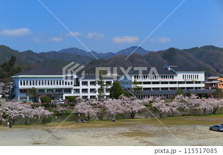 桜の季節の丹波篠山市役所全景(篠山城址からの眺望・兵庫県) 桜の季節の丹波篠山市役所全景(篠山城址からの眺望・兵庫県) 115517085