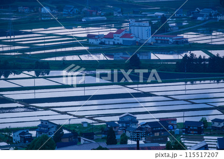 輝く田んぼ 輝く田んぼ 115517207