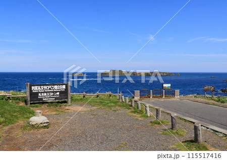 礼文島スコトン岬から眺めるトド島 115517416