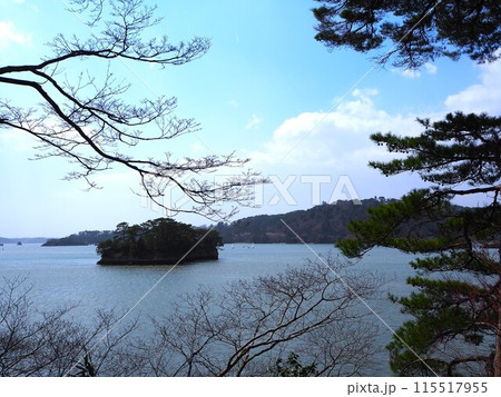 日本三景のひとつ、松島海岸にある福浦島から眺める松島の絶景 115517955