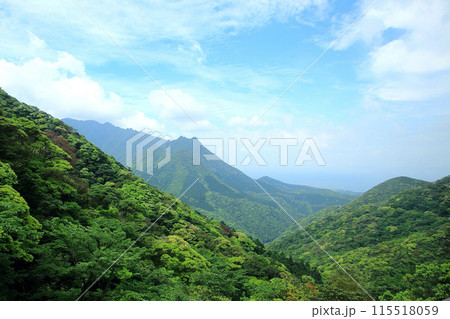 屋久島 屋久島 115518059