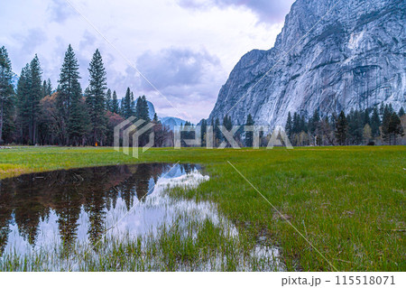 Yosemite View in California 115518071