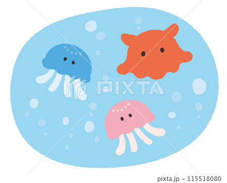 メンダコとクラゲのイラスト メンダコとクラゲのイラスト 115518080