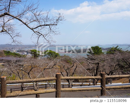 日本三景のひとつ、松島にある西行戻しの松公園から眺める絶景 115518096