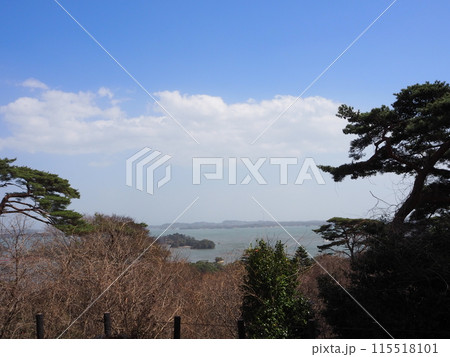 日本三景のひとつ、松島にある西行戻しの松公園から眺める絶景 115518101