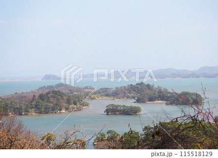 日本三景のひとつ、松島にある西行戻しの松公園から眺める絶景 115518129