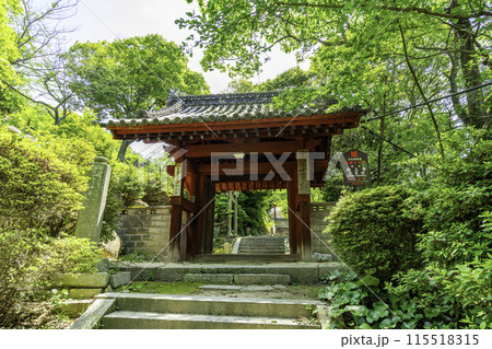 生口島　向上寺　山門　広島県尾道市 115518315